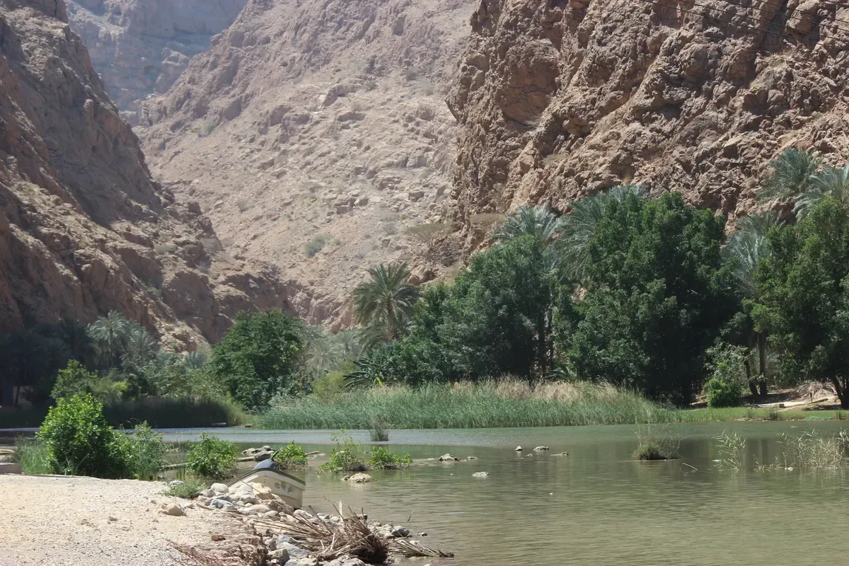 Date palms and a still green pool at the mouth of the Wadi Shab gorge under bare rock walls